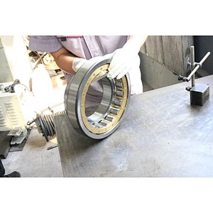 Promotion bearing