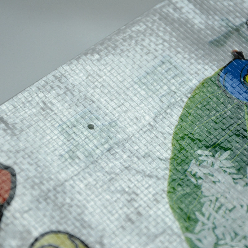 High quality rice packaging bag 5kg10kg