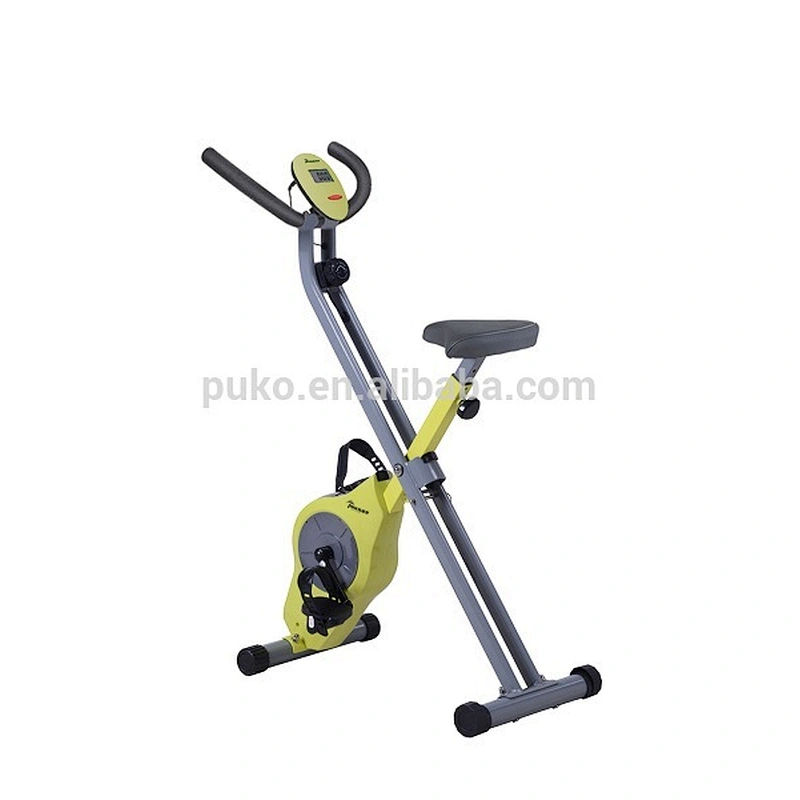 lifestyler indoor body fit magnetic exercise bike