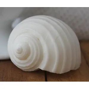 QT0032 Conch Shells soap Mold handmade silicone Candle moulds przy