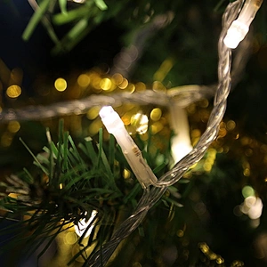 220V 10 100leds Voltage and Christmas Holiday Name extendable Led string fairy lights