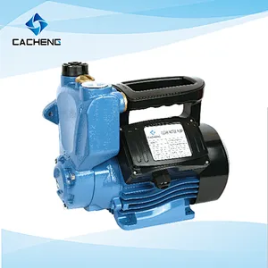 CPS-250 Self-priming Peripheral Pumps Surface Pump