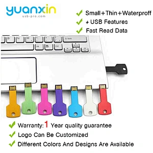 Wholesale 2Gb 32Gb 64Gb 3.0 Porn Wireless Price Key Chain Usb Flash Drive With Logo