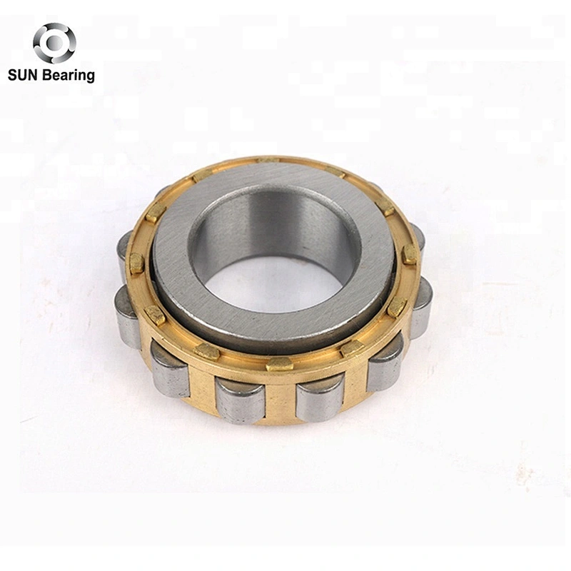 RN204 Cylindrical Roller Bearing