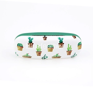 Potted Colorful Cactus Hard Spectacle Case for Children