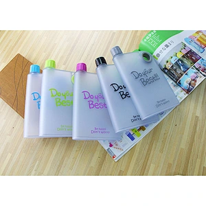 Popular Travel Style 380 ml Portable Plastic Material Sport Drink Cup Notebook Frosted Water Bottle