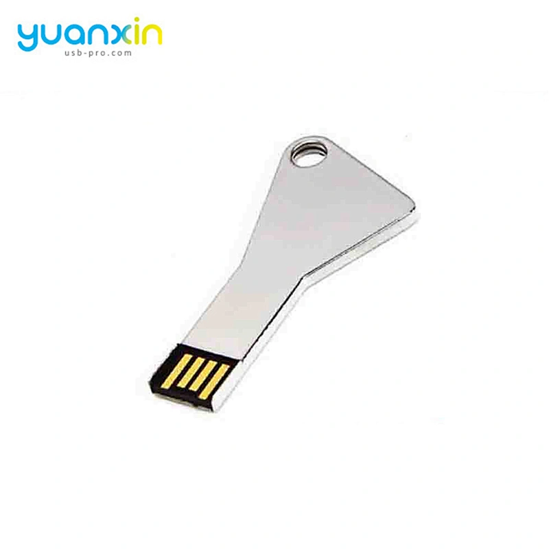 High speed pormo usb flash key,usb keychain,key usb