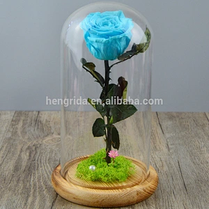 Enternal Unwithered Natural Real Rose in Glass Dome Cover with Wooden Bottom