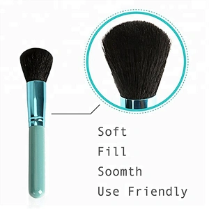Professional Blue 12pcs Cosmetic Makeup Brush Set With Holder