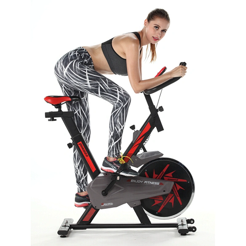 Indoor Cycling Exercise Home Use Gym Equipment Spin Bike