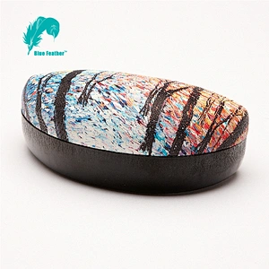 Protective Printed Hard Shell Sunglasses Case for Daily Carry