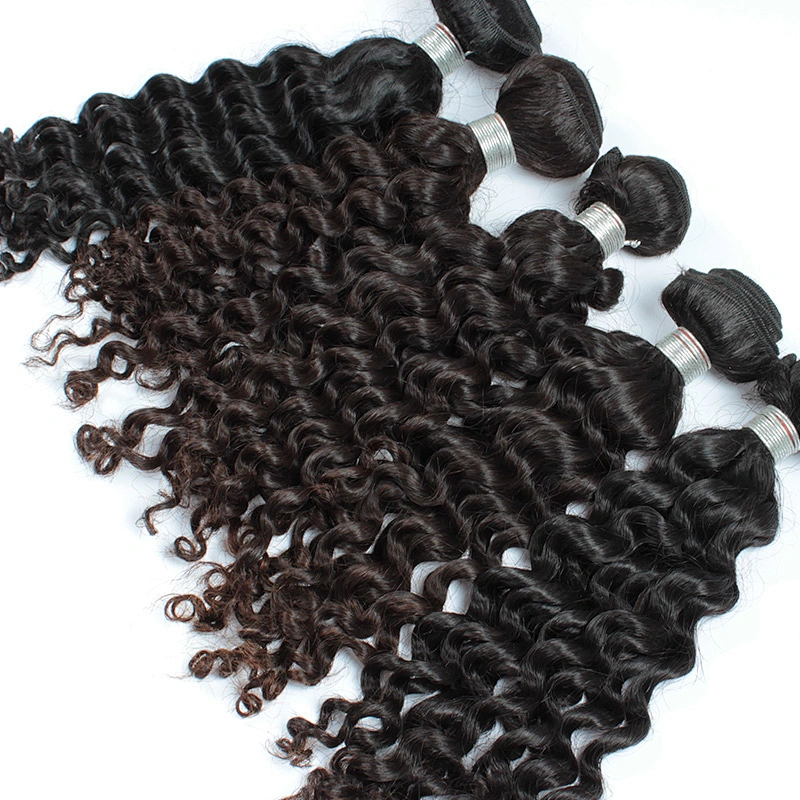 Wholesale factory high quality loose curly 100% virgin Maslaysian hair extension