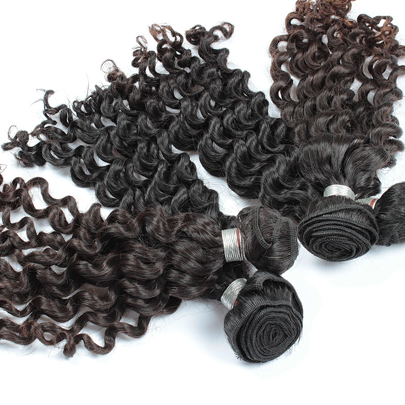 Wholesale raw virgin indian loose curly cheap human hair