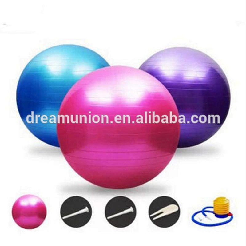 Gym Yoga Exercise Ball 65CM Balance Fitness