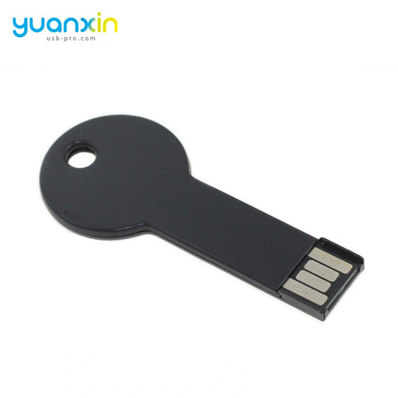 Portable Pen Drive Player Key Shape Usb Flash Drive 8Gb 2.0