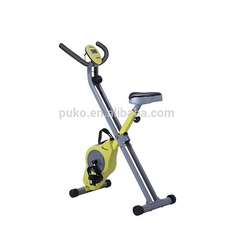 lifestyler indoor body fit magnetic exercise bike