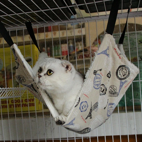 Pet Hammock Bed /Cat Nest