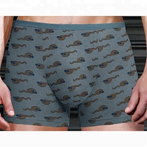 2018 Trending Rainbow Printed Boxer Briefs Boy Gay Underpants Old Man Underwear