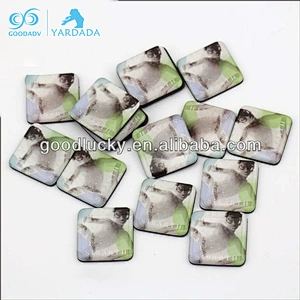 Epoxy resin fridge magnet/ fridge magnets tourism souvenirs