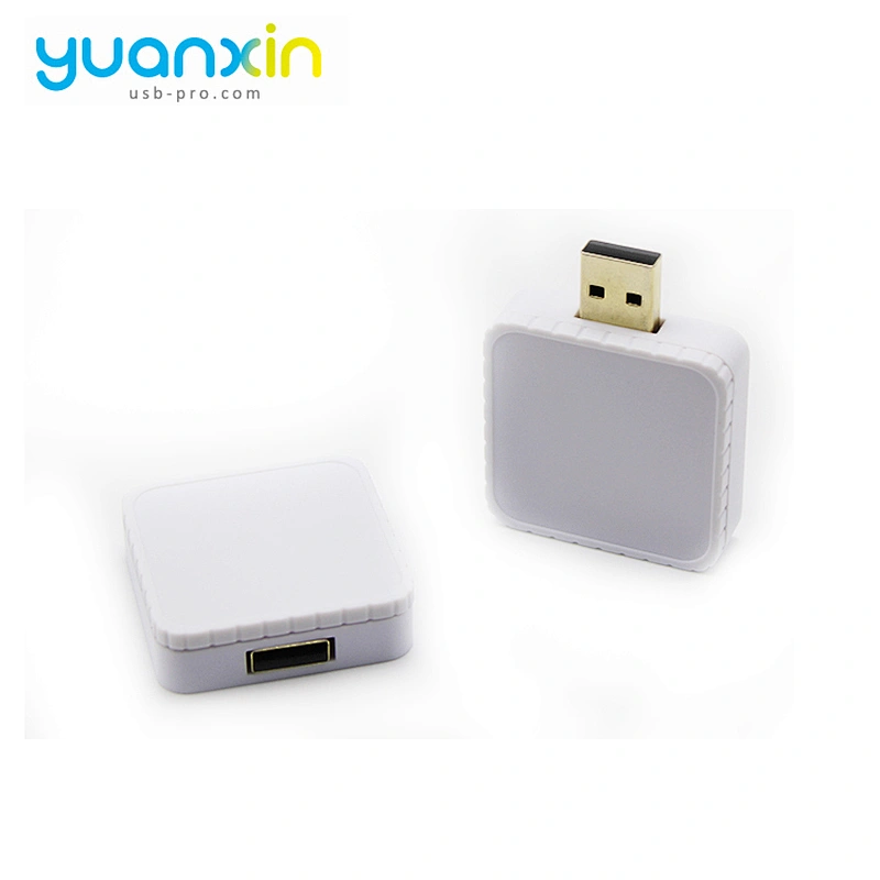 Custom Promotional Plastic Case USB Flash Drive