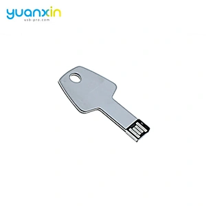 Free Sample Metal Key Usb Flash Drive Custom Logo Usb Stick Memory Any Color