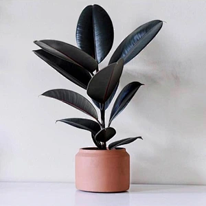 S9187 European style concrete Pot mold Round flowerpot mold Nordic simple style cement flower pot molds