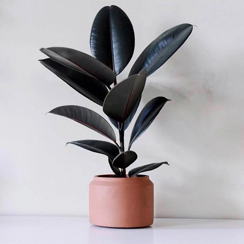 S9187 European style concrete Pot mold Round flowerpot mold Nordic simple style cement flower pot molds