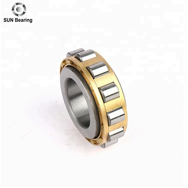 RN204 Cylindrical Roller Bearing