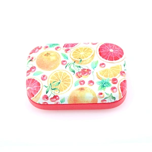 Colourful Summer Cool Fruit Eyeglasses Case Optical Case