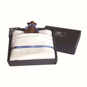 China Supplier Wholesale Cotton Woolen Blanket Little Cute Bear and Blanket Set Multi-function Travel Blanket Gift Set