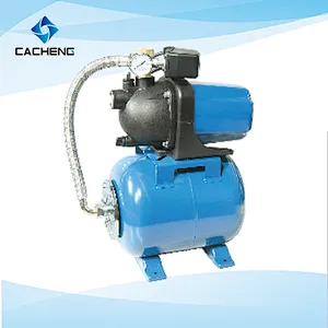 AUGP Automatic Working Pressure Systems Garden Pump