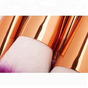 Professional Fish Tail Glitter 10pcs Cosmetic Makeup Brush Set