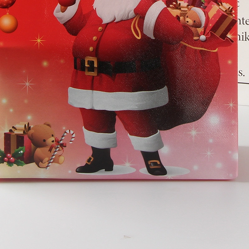 Portable pictures printing non woven shopping bag,shopping bag printed