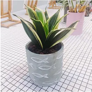 Individual Fish Pattern Cement Pot Silicone Mold for Concrete Flower Pot Succulent Plants Silicone Mold