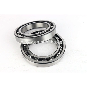 Deep Groove Ball Bearing 6028