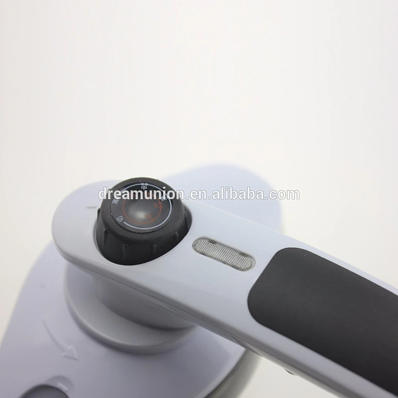 Electric Handheld Clothes Irons Steamer Garment Cleaner Adjustable Steam Brush model M2037--