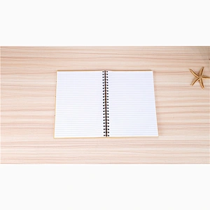 China Suppliers craft paper cover diary books A4 Coil Spiral notebook hand book