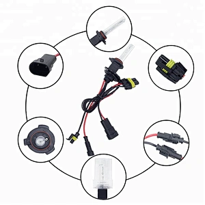 Lightech Wholesale 12V 24V Cars luces hid fog light 9005 HB3 35W 55W 6000K Xenon Bulbs