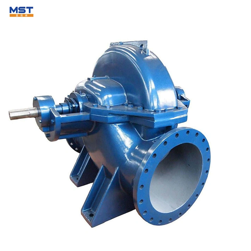 Split Casing 100 cubic meters per hour irrigation water pump