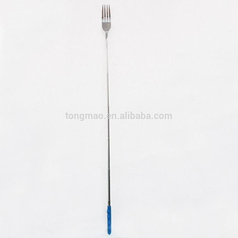 Scalable colourful handle dinner fork