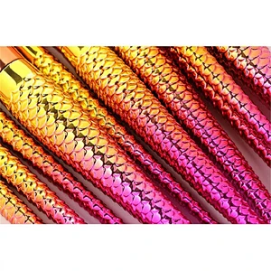 New Gradient Fish Colorful 10pcs Makeup Brush Set