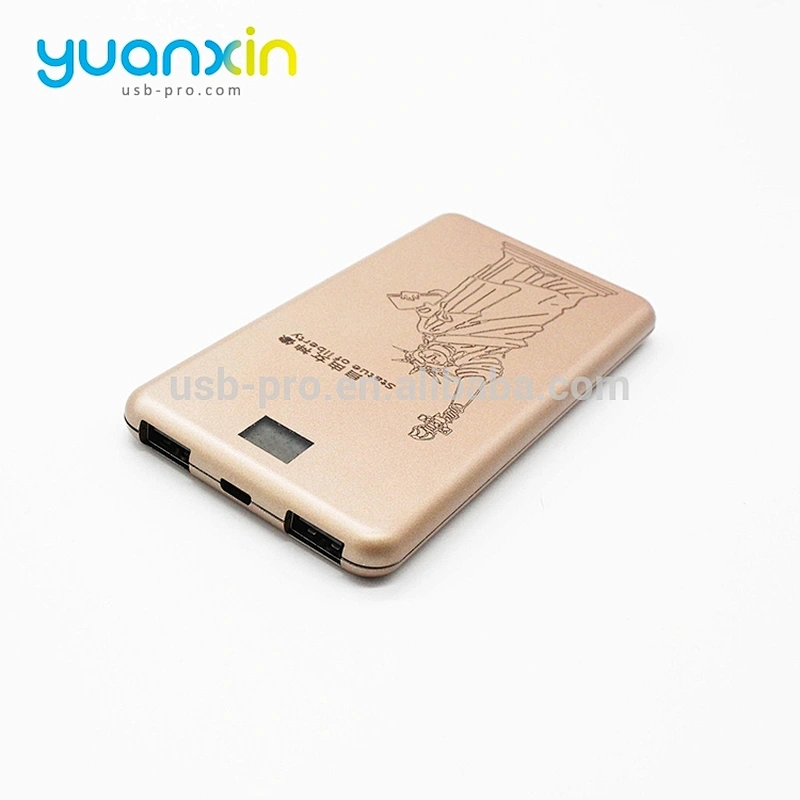 Custom LED Logo 5000mAh Power Bank