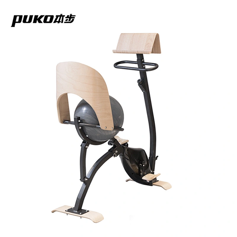 CF-EO5 Indoor Wooden Nature Style Yoga Ball Seat Fitness Upright Exercise Bike