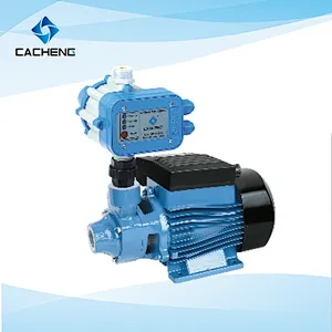 4MCP100SX-AUTO Automatic Garden Jet Pumps Garden Pump