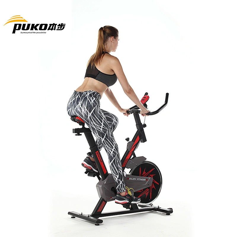 Indoor ues gym home spin bike