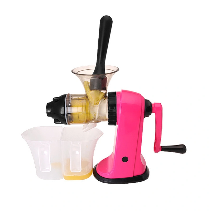 bravo multi- fruit slow juicer & ice cream machine