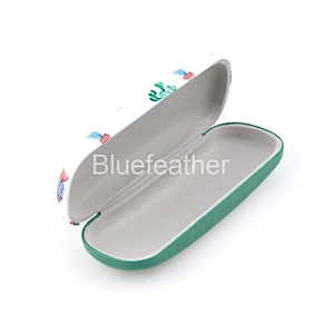 Potted Colorful Cactus Hard Spectacle Case for Children