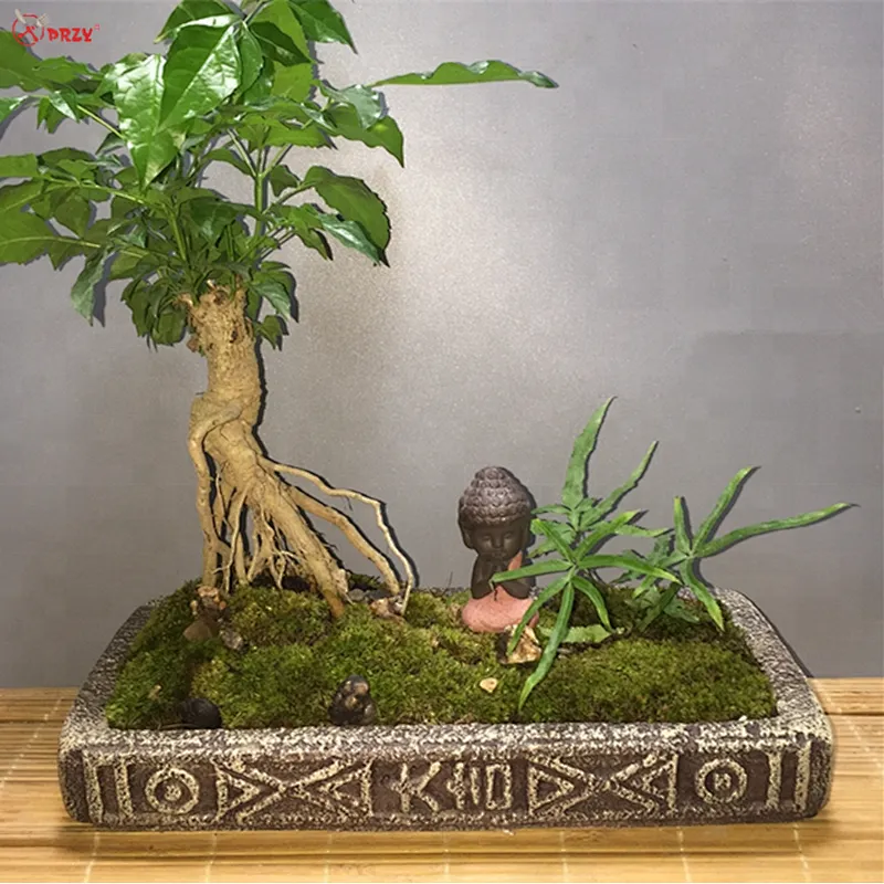 Chinese style Cement succulent Moss planter molds Office retro Concrete flower pot decorations molds
