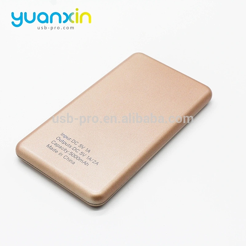 Custom LED Logo 5000mAh Power Bank