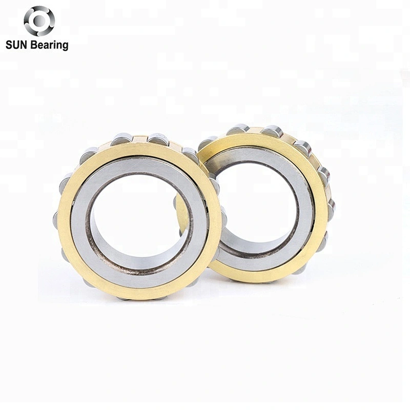 RN204 Cylindrical Roller Bearing
